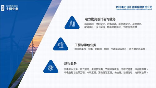 北京產(chǎn)權(quán)交易所 四川電力設(shè)計(jì)咨詢有限責(zé)任公司 混合所有制改革項(xiàng)目推介